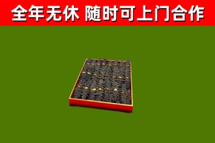 井陉矿区回收海参